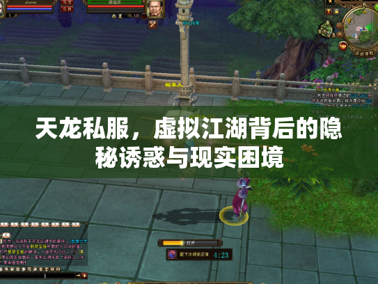 天龙私服，虚拟江湖背后的隐秘诱惑与现实困境
