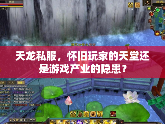 天龙私服，怀旧玩家的天堂还是游戏产业的隐患？