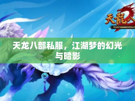 天龙八部私服，江湖梦的幻光与暗影