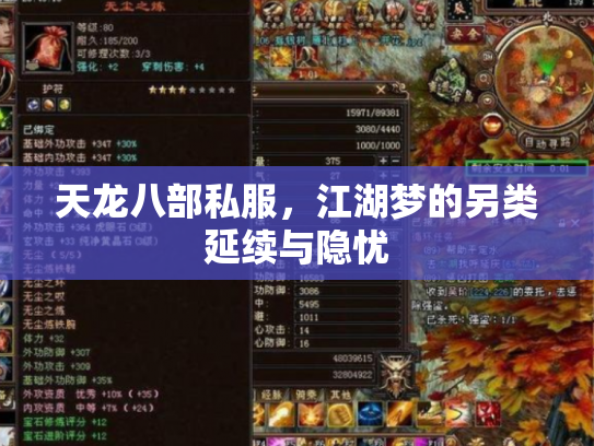 天龙八部私服,江湖梦的另类延续与隐忧 天龙八部私服,江湖梦的另类延续与隐忧