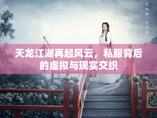 天龙江湖再起风云，私服背后的虚拟与现实交织