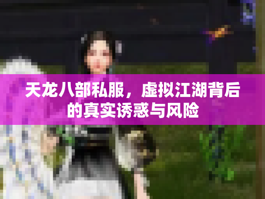 天龙八部私服，虚拟江湖背后的真实诱惑与风险