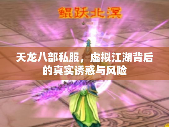 天龙八部私服，虚拟江湖背后的真实诱惑与风险