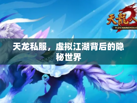 天龙私服，虚拟江湖背后的隐秘世界