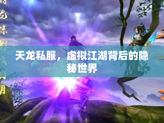 天龙私服，虚拟江湖背后的隐秘世界