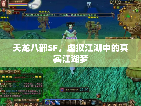 天龙八部SF，虚拟江湖中的真实江湖梦