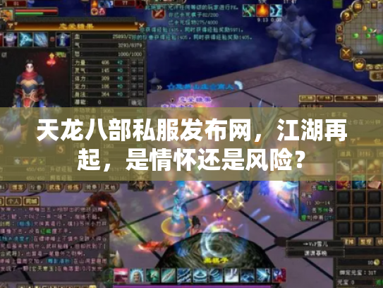 天龙八部私服发布网，江湖再起，是情怀还是风险？