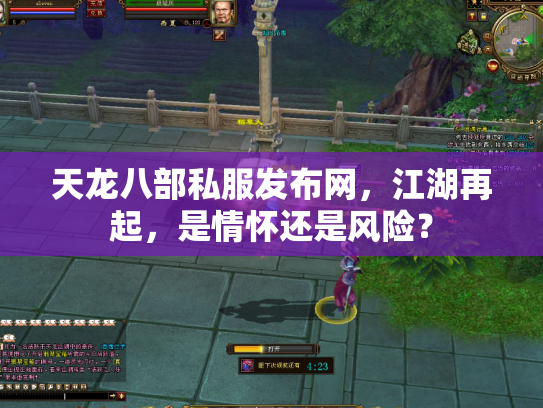 天龙八部私服发布网，江湖再起，是情怀还是风险？