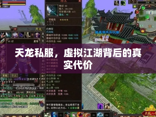 天龙私服，虚拟江湖背后的真实代价