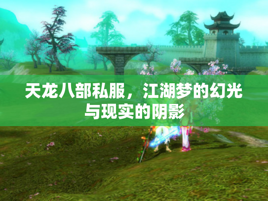 天龙八部私服，江湖梦的幻光与现实的阴影