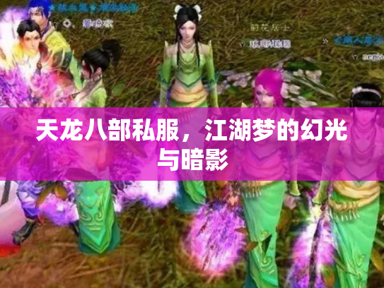 天龙八部私服，江湖梦的幻光与暗影