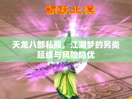 天龙八部私服，江湖梦的另类延续与风险隐忧