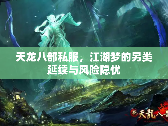 天龙八部私服，江湖梦的另类延续与风险隐忧