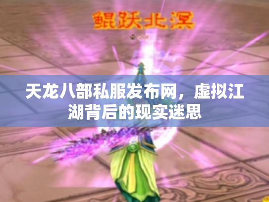 天龙八部私服发布网，虚拟江湖背后的现实迷思