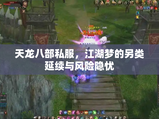 天龙八部私服，江湖梦的另类延续与风险隐忧