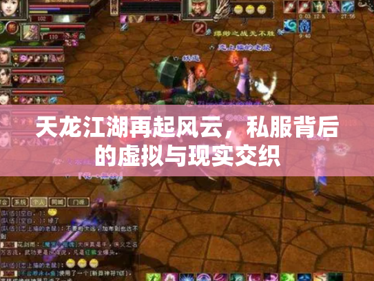 天龙江湖再起风云，私服背后的虚拟与现实交织