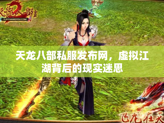 天龙八部私服发布网，虚拟江湖背后的现实迷思
