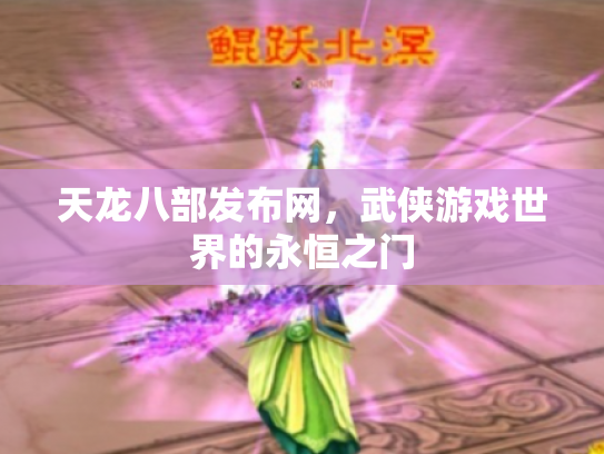 天龙八部发布网，武侠游戏世界的永恒之门