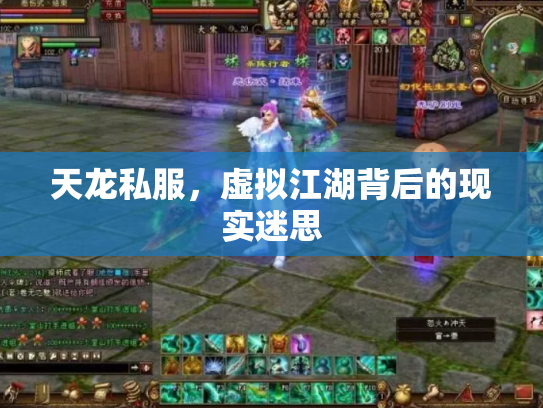 天龙私服，虚拟江湖背后的现实迷思