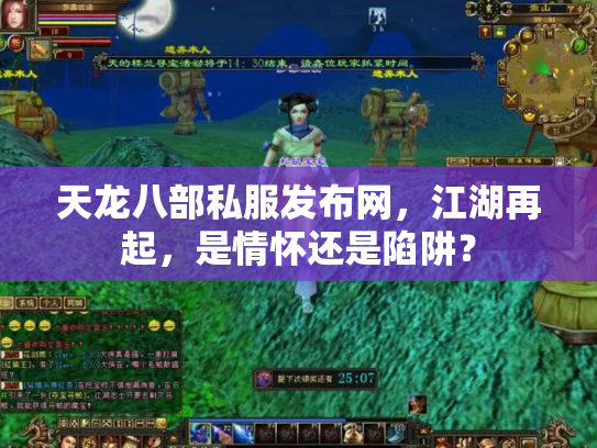 天龙八部私服发布网，江湖再起，是情怀还是陷阱？