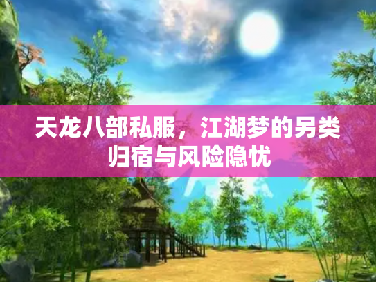 天龙八部私服，江湖梦的另类归宿与风险隐忧