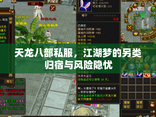 天龙八部私服，江湖梦的另类归宿与风险隐忧