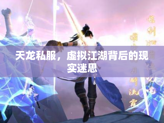 天龙私服，虚拟江湖背后的现实迷思
