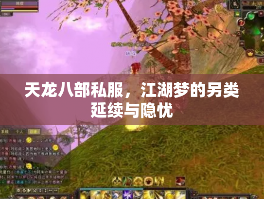 天龙八部私服，江湖梦的另类延续与隐忧