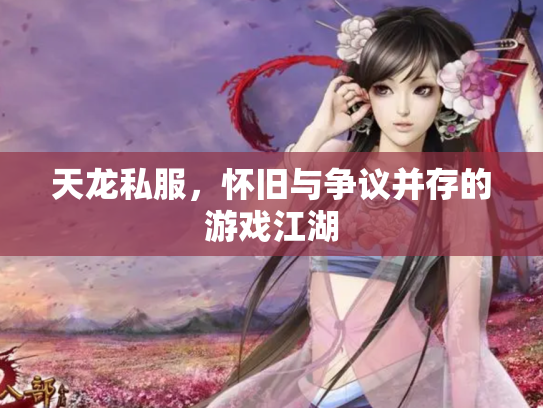 天龙私服，怀旧与争议并存的游戏江湖