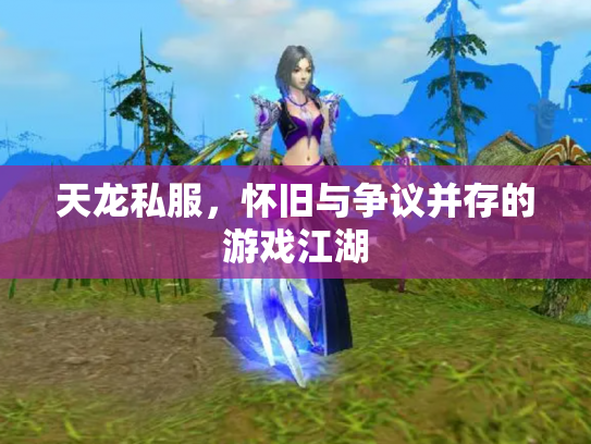 天龙私服，怀旧与争议并存的游戏江湖