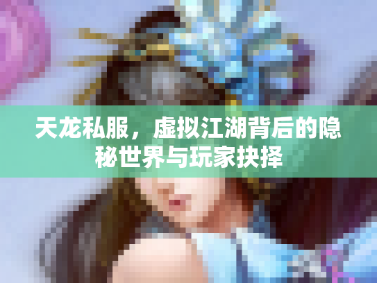 天龙私服，虚拟江湖背后的隐秘世界与玩家抉择