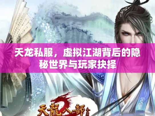 天龙私服，虚拟江湖背后的隐秘世界与玩家抉择