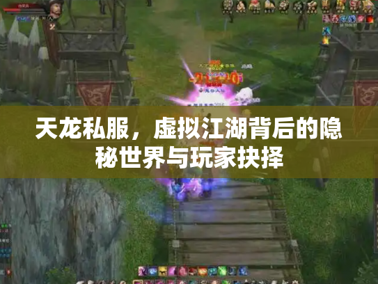 天龙私服，虚拟江湖背后的隐秘世界与玩家抉择