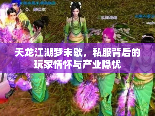 天龙江湖梦未歇，私服背后的玩家情怀与产业隐忧
