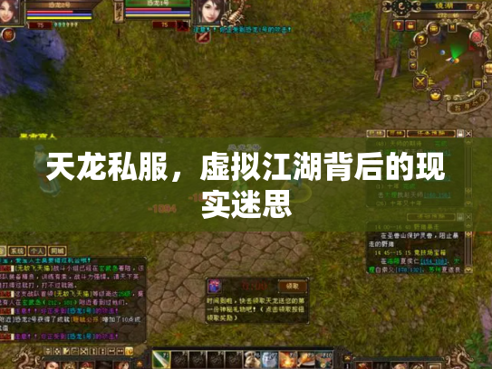 天龙私服，虚拟江湖背后的现实迷思