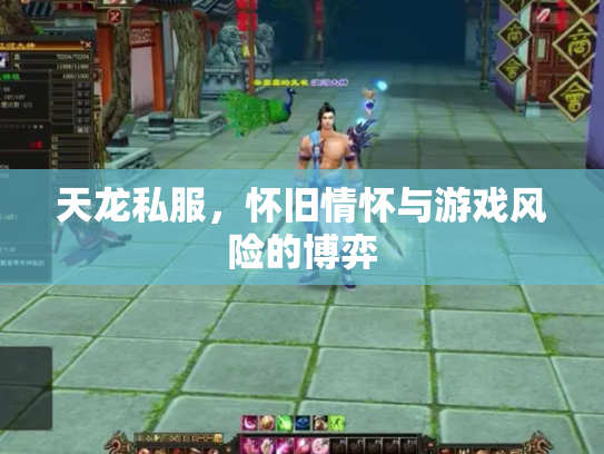 天龙私服，怀旧情怀与游戏风险的博弈