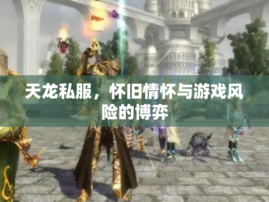 天龙私服，怀旧情怀与游戏风险的博弈