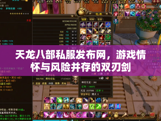 天龙八部私服发布网，游戏情怀与风险并存的双刃剑