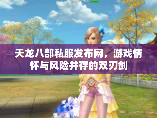 天龙八部私服发布网，游戏情怀与风险并存的双刃剑