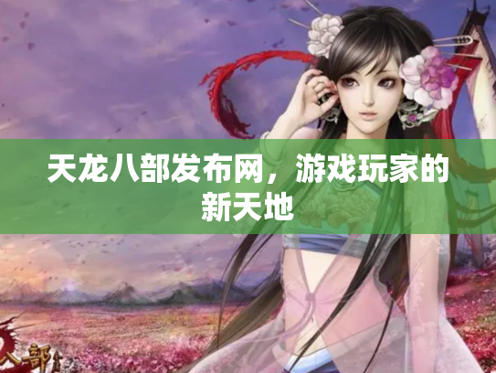 天龙八部发布网，游戏玩家的新天地