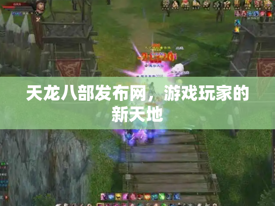 天龙八部发布网，游戏玩家的新天地