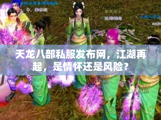 天龙八部私服发布网，江湖再起，是情怀还是风险？