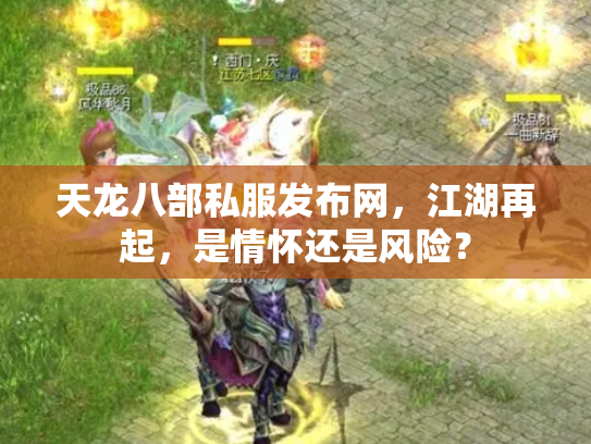 天龙八部私服发布网，江湖再起，是情怀还是风险？