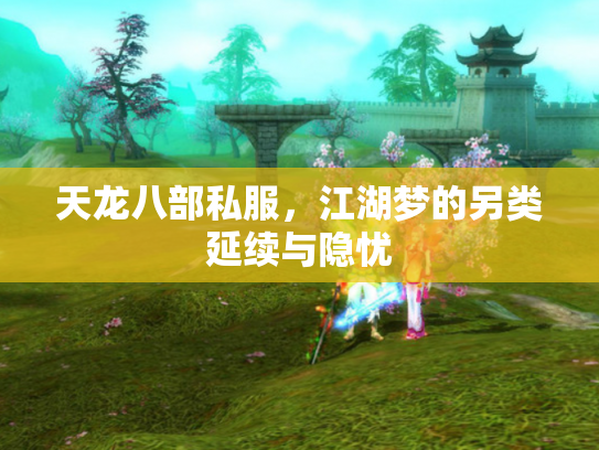 天龙八部私服，江湖梦的另类延续与隐忧