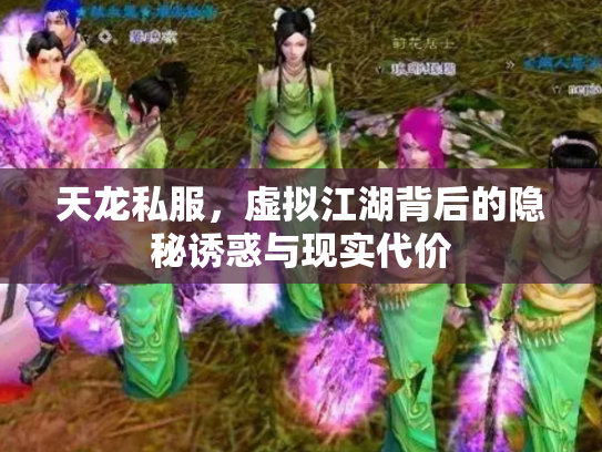 天龙私服，虚拟江湖背后的隐秘诱惑与现实代价