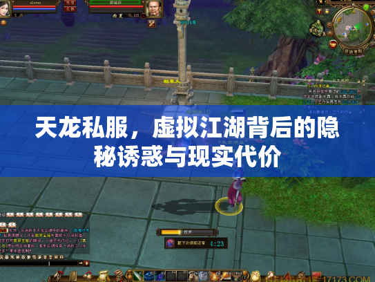 天龙私服，虚拟江湖背后的隐秘诱惑与现实代价