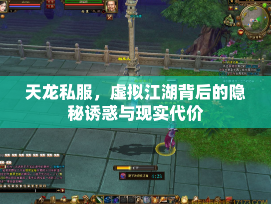 天龙私服，虚拟江湖背后的隐秘诱惑与现实代价