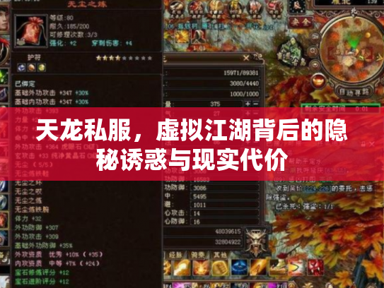 天龙私服，虚拟江湖背后的隐秘诱惑与现实代价