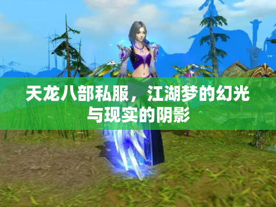 天龙八部私服，江湖梦的幻光与现实的阴影