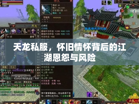 天龙私服，怀旧情怀背后的江湖恩怨与风险